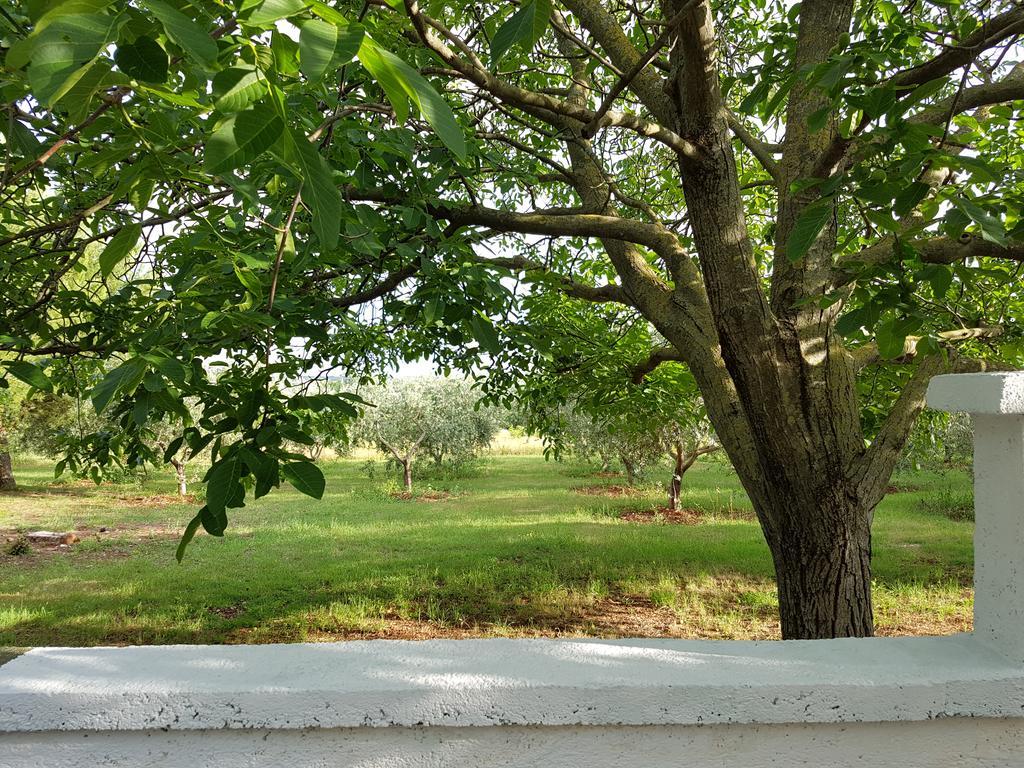 Villa Rosa With Yard And Children'S Playground Tar-Vabriga Eksteriør bilde